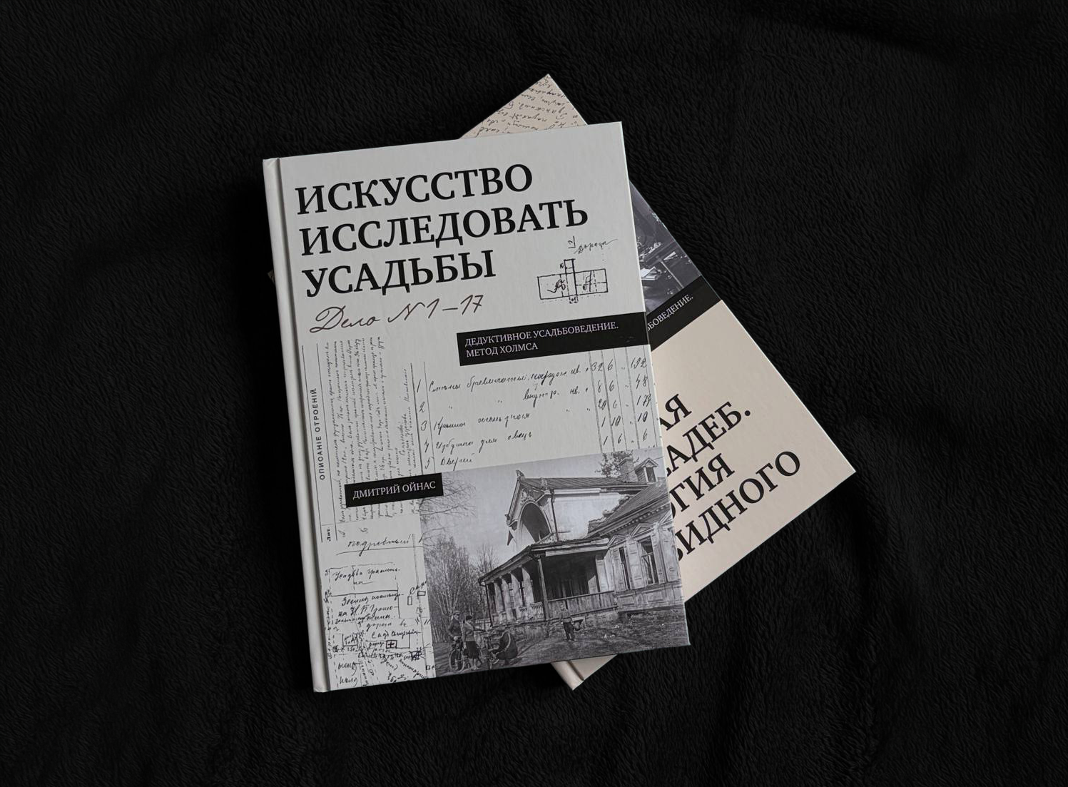 Искусство исследовать усадьбы. Дмитрий Ойнас — 1